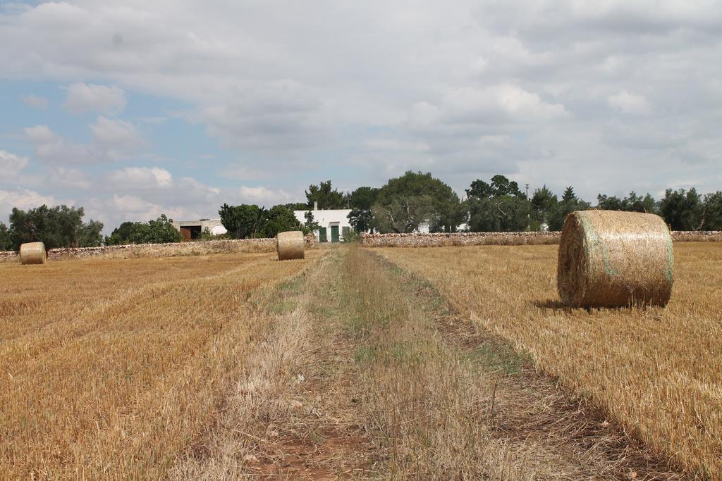 B&B Masseria Cappotto Laterza Exterior photo
